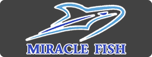 Producent: Miracle Fish (przejdź do produktów)
